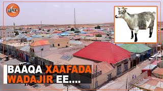 Xaafada Wadajir Ee Garowe Oo Baaq Udirtay Dowlada Hoose Garowe [upl. by Dreddy606]