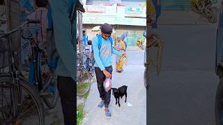 ছাগলকে নিয়ে সারাদিন ঘুরলাম বালুরঘাটে 🐐 minivlog vlog [upl. by Nylak]