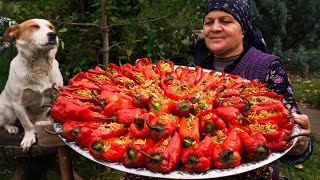 From Garden to Plate  Traditional Stuffed Bell Peppers [upl. by Yoshi]