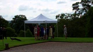 Queen Elizabeth Planting Tree Royal Visit Scone Palace Perth Perthshire Scotland [upl. by Issej812]