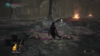 Dark Souls 3 Nameless Knight Set Location [upl. by Vharat]