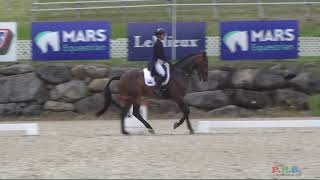 BROMONT CCI DRESSAGE JUNE 6 2024 [upl. by Senga]