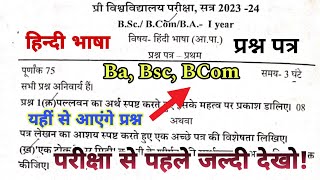 Hindi Language Question Paper 2024 BA BSC BCom Foundation Course Hindi Language imp ques [upl. by Ayomat905]