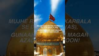 Karbala Shayari  Shia WhatsApp Status HD [upl. by Klarrisa14]