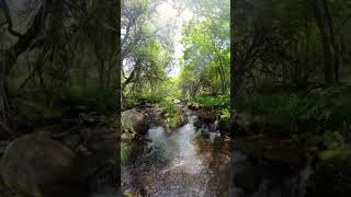 ríos del Bierzo nature river cyl leon bierzo elbierzo naturaleza [upl. by Inamik]