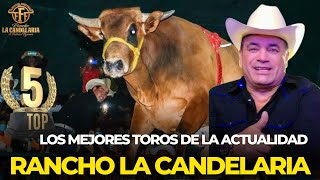 LOS MEJORES 5 TOROS DE LA CANDELARIA 2024 [upl. by Ltihcox124]