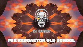 MIX REGGAETON OLD SCHOOL 30  LOS MEJORES CLASICOS DEL REGGAETON 🍑 DJ CHARLY 🔥💧 [upl. by Golightly]