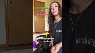 Dog Desensitization vs Counterconditioning puppytraining puppyshorts [upl. by Izy]