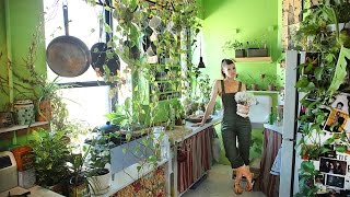 Growing A Jungle In My New York Apartment [upl. by Asilrac]