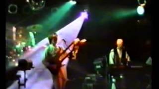 Le Orme  Live in Torino 1996 Full Concert [upl. by Ajuna]