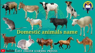 DOMESTIC ANIMALS NAME  Learn Domestic Animals Sounds and Names  Easy English Learning Process [upl. by Yung]