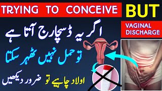 Trying To Conceive But Vaginal Discharge Likoria ka ilaj Vaginal Discharge TypesVaginal Infection [upl. by Nol538]