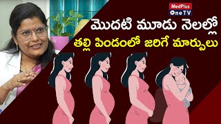 Pregnancy Trimesters Fetal Changes and Safety Tips  DrKSarala MedPlusONETV [upl. by Artemed261]