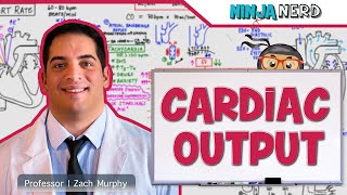 Cardiovascular  Cardiac Output [upl. by Woodford]