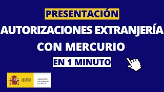 Presentación de solicitudes telemáticas de autorizaciones de Extranjería [upl. by Bollay721]