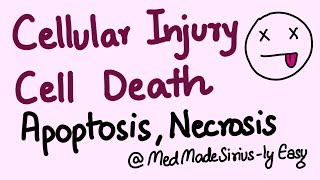 Cellular Injury and Cell Death ApoptosisNecrosis and Types of Necrosis [upl. by Enelear]