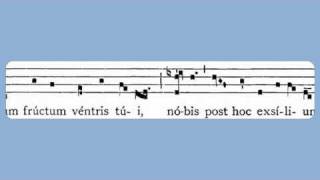 Salve Regina Sunday Compline Solemn Tone [upl. by Palila]