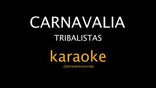 KARAOKE  Carnavalia  Tribalistas [upl. by Xeno]