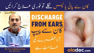 Kaan Se Pani Kyu Nikalta Hai  Ear Discharge Treatment In Urdu  Kan Se Peep Ka Ilaj  Puss From Ear [upl. by Keare]