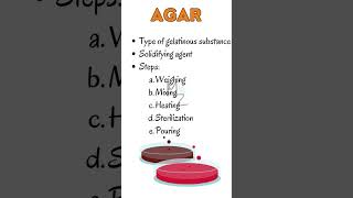 AGAR plate Culture Medium bacteriology culturemedia [upl. by Hsepid111]