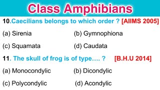 Class Amphibia mcq  Phylum Chordata  Frequently Asked Questions [upl. by Ibrad]