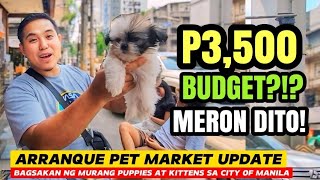 BUDGET PUPPIES  P3500 LANG SHIH TZU POMERANIAN SA ARRANQUE PET MARKET [upl. by Odlavu331]