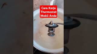 Cara Kerja Thermostat Mobil Anda Yang Biasa Pegang Stir Wajib menyimak [upl. by Gershom765]