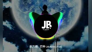 赵方婧  芒种 JB Remix 2024 [upl. by Eesyak901]