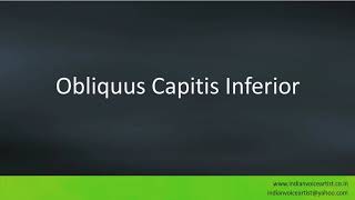 Pronunciation of the words quotObliquus Capitis Inferiorquot [upl. by Ardna802]