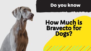 How Much is Bravecto for Dogs All the sizes and prices of bravecto chewable tablets [upl. by Aydin]