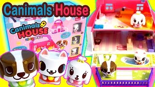 Canimals House  Cute Korean Toy Playset  Disney Frozen Elsa Anna Shopkins LPS Lalaloopsy  캐니멀 하우스 [upl. by Ahselak]