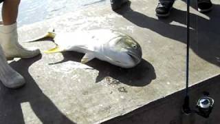 boynton inlet fishing 2 [upl. by Nylodnew]