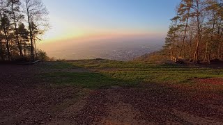 Sightseeing Ölberg Schriesheim  durch den Wald im Herbst 04112024 [upl. by Jabez]