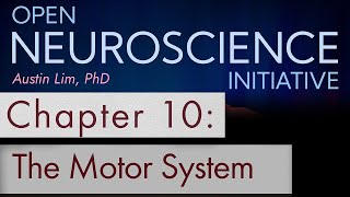 quotMotor Systemquot Chapter 10  Open Neuroscience Initiative free audio textbook [upl. by Behrens478]