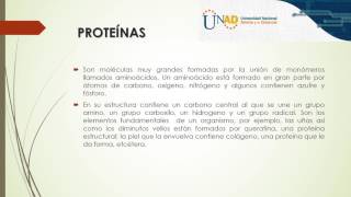 Unidad 2 Tarea 2 Andres Romero Biomoléculas [upl. by Tallie917]