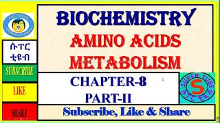 2 Amino acid metabolism transamination deamination biochemistry metabolism [upl. by Aihseuqram]