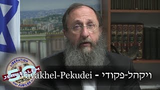 PARASHAT VAYAKHEL  Weekly Torah Reading in Hebrew amp English Translation  TORAH STUDY [upl. by Afton]