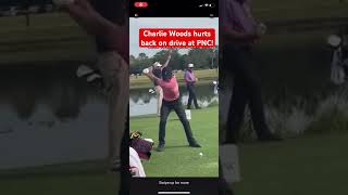 Charlie Woods hurts back at PNC  tigerwoods golf tomgillisgolf [upl. by Isbella262]