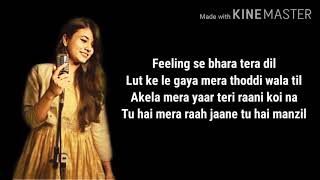 FEELINGS LYRICS Song  Vatsala  Feeling Se Bhara Tera Dil  Female Version  Full Lyrical Song [upl. by Bren267]