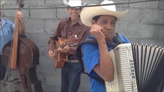 Los Gavilancitos de Nuevo León  Polka El Tololoche Con Juan Torres [upl. by Idonna26]