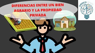 DIFERENCIAS ENTRE UN BIEN AGRARIO Y LA PROPIEDAD PRIVADA [upl. by Llekcir997]