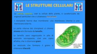 Test Medicina 2022 Biologia  La cellula come base della vita [upl. by Inahpit]