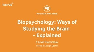 Biopsychology Ways of Studying the Brain Explained [upl. by Adnovad]