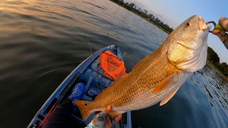 FINALLY I caught a fish Fishing for redfish in the Chesapeake bay [upl. by Zerep736]