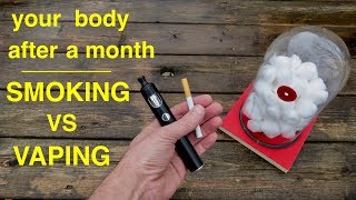 How Smoking vs Vaping Affects Your Lungs ● You Must See This [upl. by Mellar]