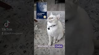 31 Historias de Fantasmas 11 Las lágrimas de Shiva César Mallorquí cat books [upl. by Kora988]