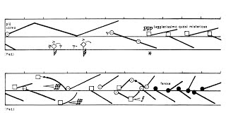 Helmut Lachenmann  Guero Audio  Score [upl. by Mialliw526]