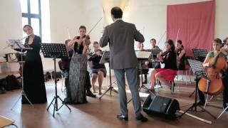 JS BACH – CONCERTO for violin and flute Oboe BWV 1060 [upl. by Ellata634]