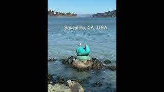 Sausalito California USA September 26 2024 travel [upl. by Zoila500]