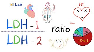 LDH1 to LDH2 Ratio and the flipped LDH  Lactate Dehydrogenase and Heart Attacks ❤️‍🩹 [upl. by Nongim393]